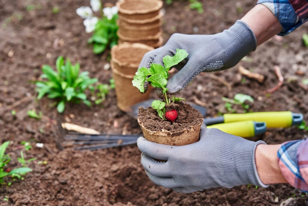 Qu’est-ce que la permaculture