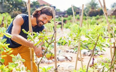 PERMACULTURE & DESIGN
