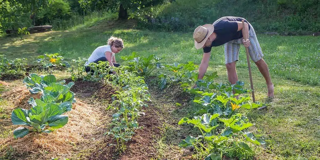 Fiche Métier Designer en Permaculture