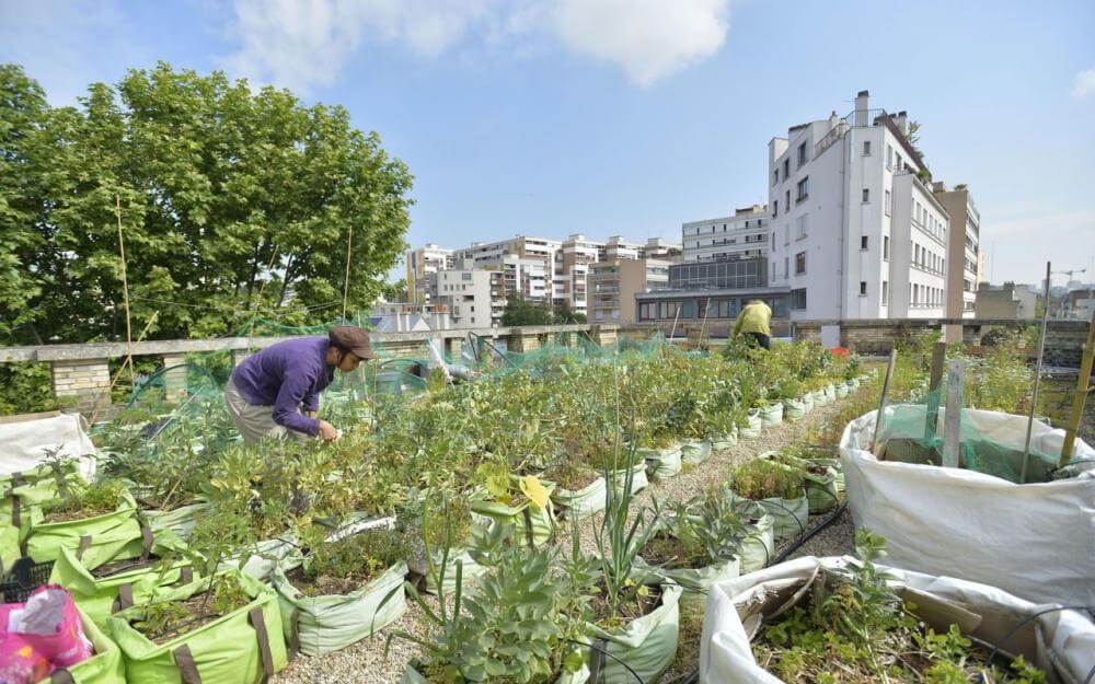 Qu’est-ce que l’agriculture urbaine